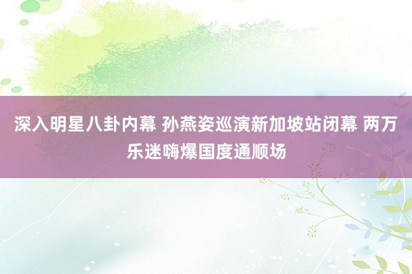 深入明星八卦内幕 孙燕姿巡演新加坡站闭幕 两万乐迷嗨爆国度通顺场