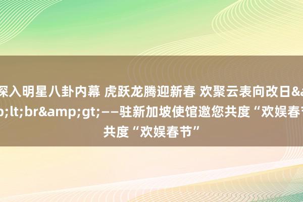 深入明星八卦内幕 虎跃龙腾迎新春 欢聚云表向改日&lt;br&gt;——驻新加坡使馆邀您共度“欢娱春节”