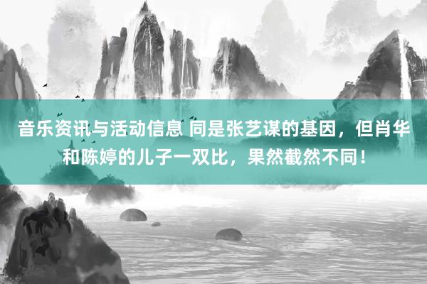 音乐资讯与活动信息 同是张艺谋的基因，但肖华和陈婷的儿子一双比，果然截然不同！