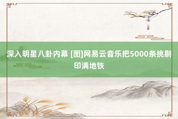 深入明星八卦内幕 [图]网易云音乐把5000条挑剔印满地铁