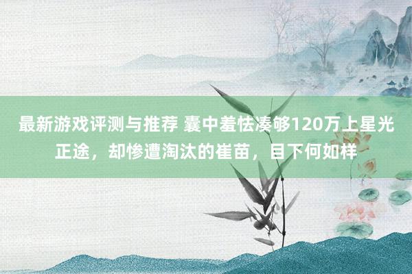 最新游戏评测与推荐 囊中羞怯凑够120万上星光正途，却惨遭淘汰的崔苗，目下何如样